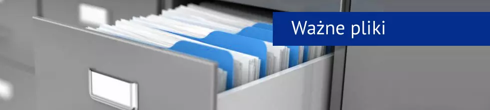 pliki